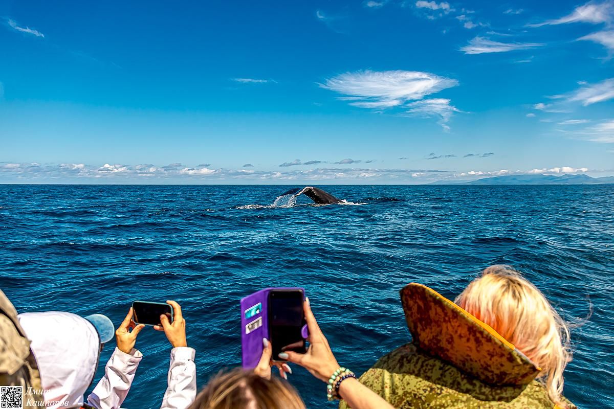 Итуруп и Шикотан. Путешествие на другую планету