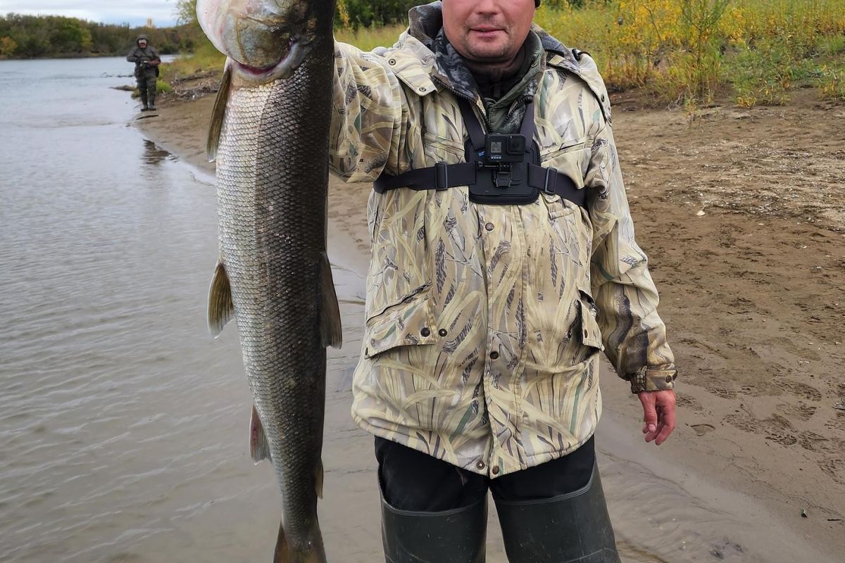 Озеро Красное – трофейная рыбалка в центральной Чукотке