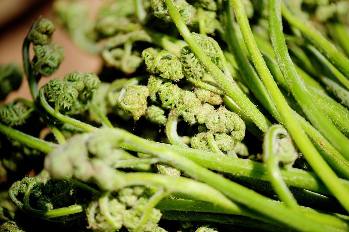 Гастротур "Знакомство с Тихоокеанской кухней"