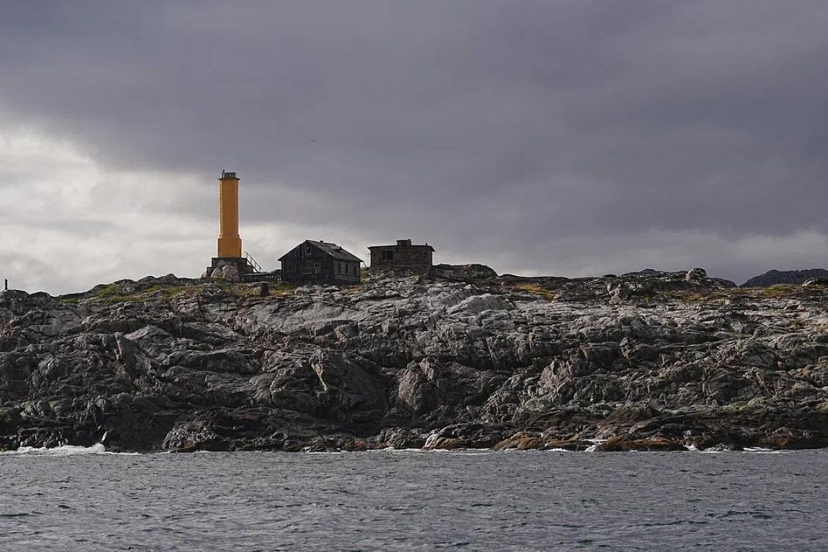 Териберка: морская прогулка в поиске китов