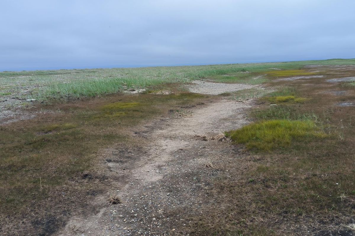 Бросок к последнему морю (Берингово море, коса Русская Кошка)