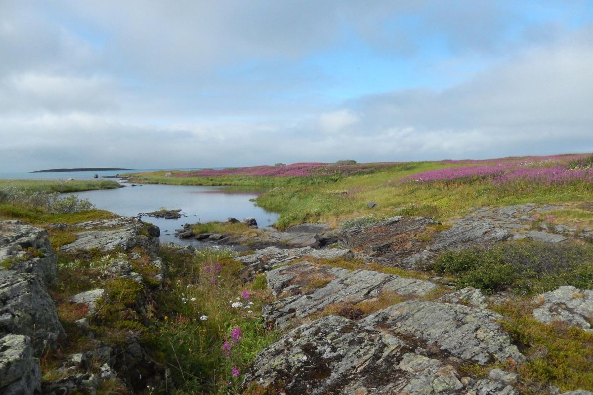 Полуострова Рыбачий и Средний 5 дня/ 4 ночи