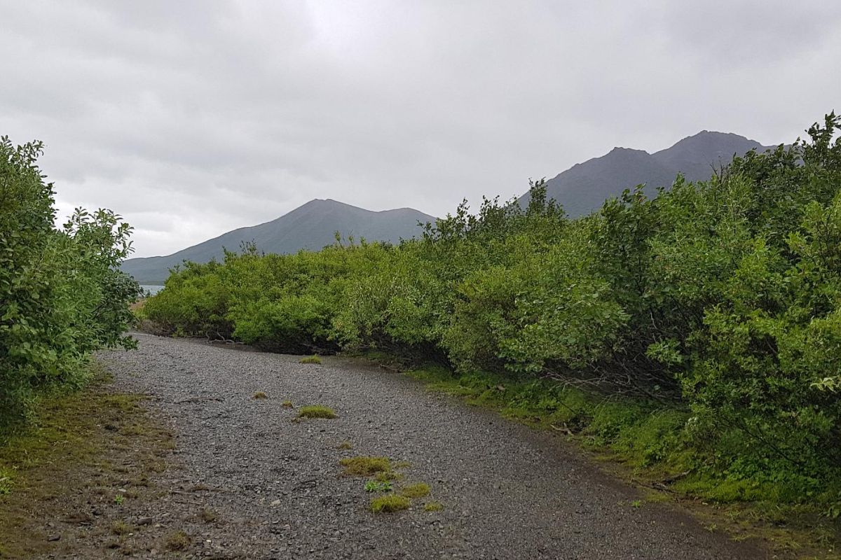 Горы, тундра, море – «три Чукотки» в одном маршруте (заброска вертолётом МИ-8)