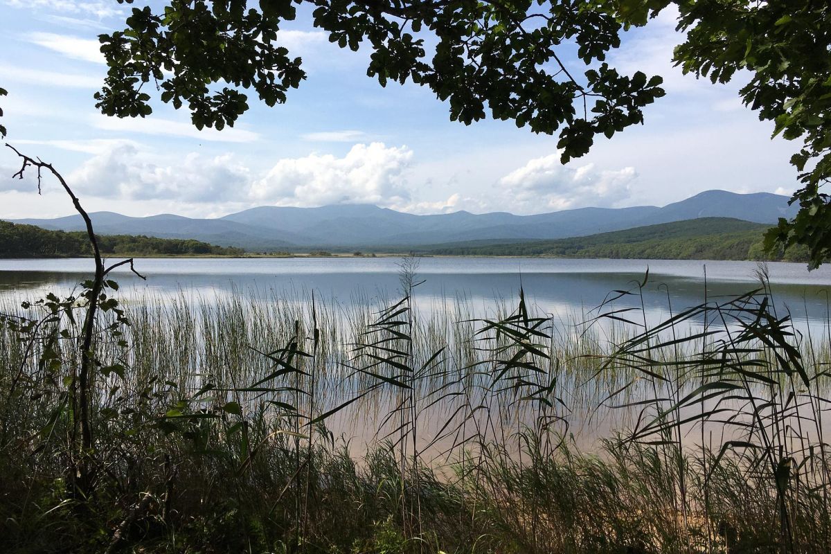 Тур "Заповедное Приморье: с юга на север"