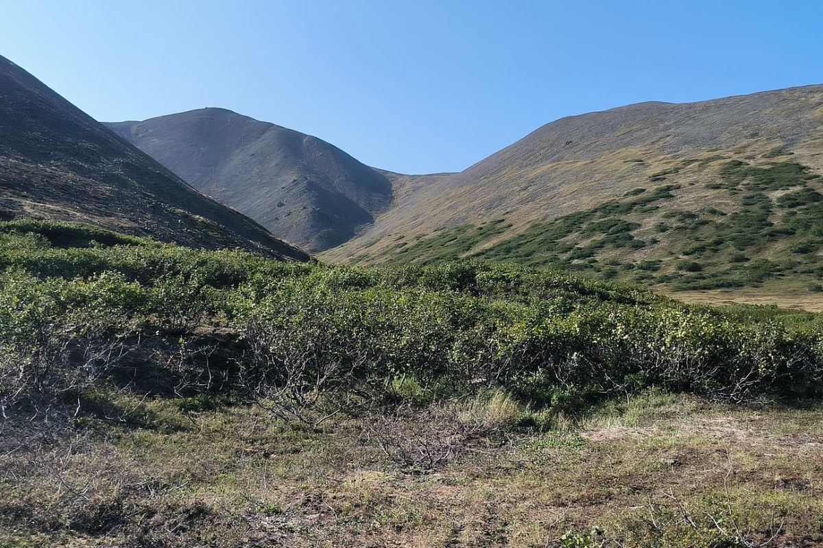 Прогулка по древнему вулкану (г. Анадырь, гора Дионисия), дневной тур