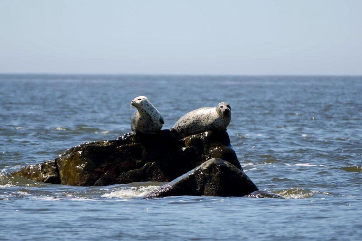 Тур "Заповедное Приморье: с юга на север"
