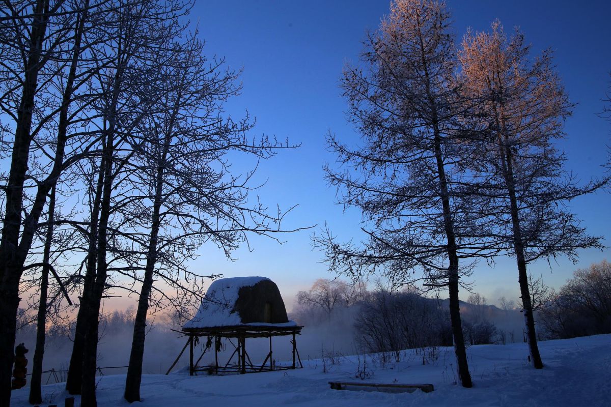Экскурсия в питомник ездовых собак "Эйвет", катание на упряжках