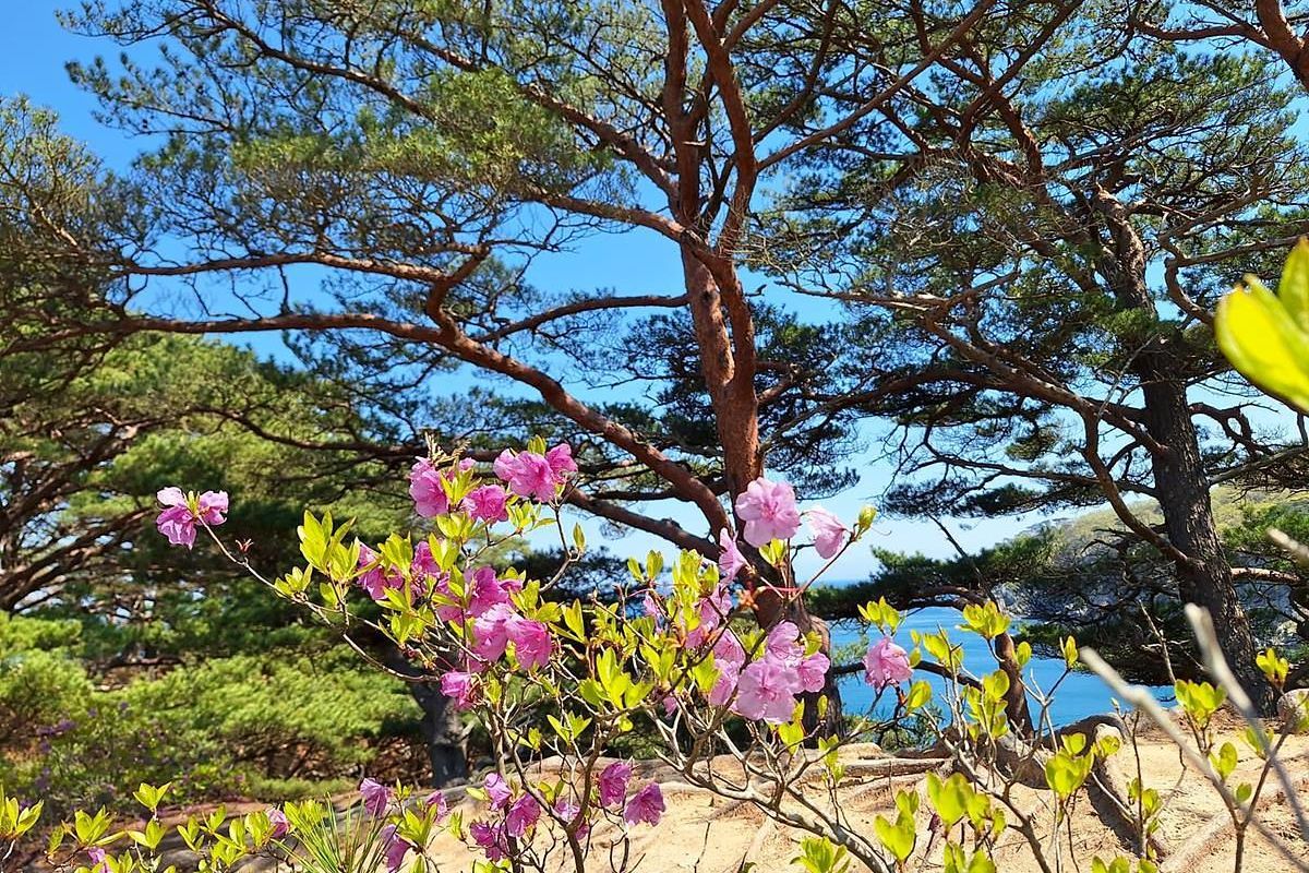 Тур "Дыхание весны у моря" (1 - 6 мая 2026)