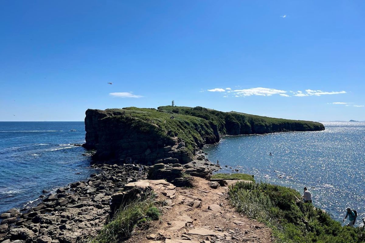 Тур "Владивосток + Японское море"