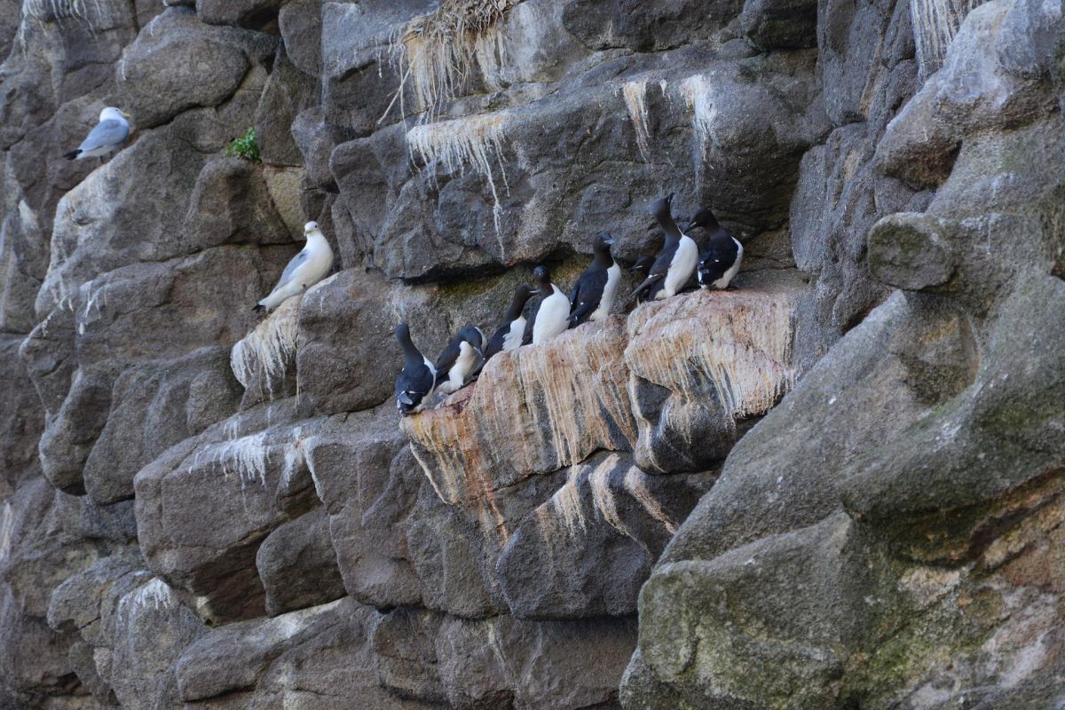 Камчатка с комфортом