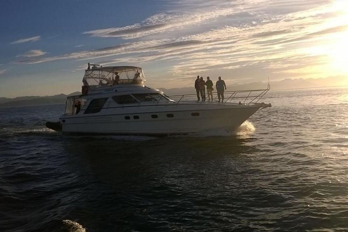 Морская прогулка по бухтам с выходом в океан