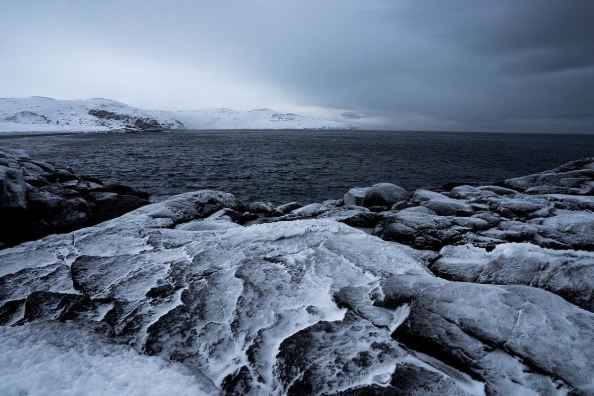 Териберка с морской прогулкой (зима)