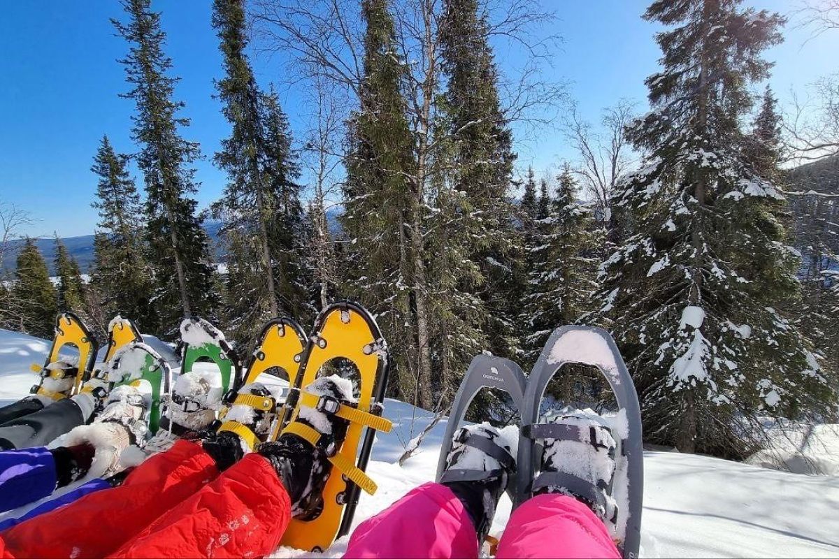 Снежный май