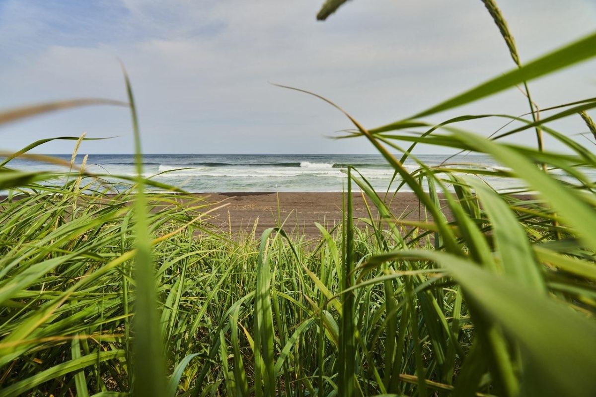 Гастротур "Знакомство с Тихоокеанской кухней"