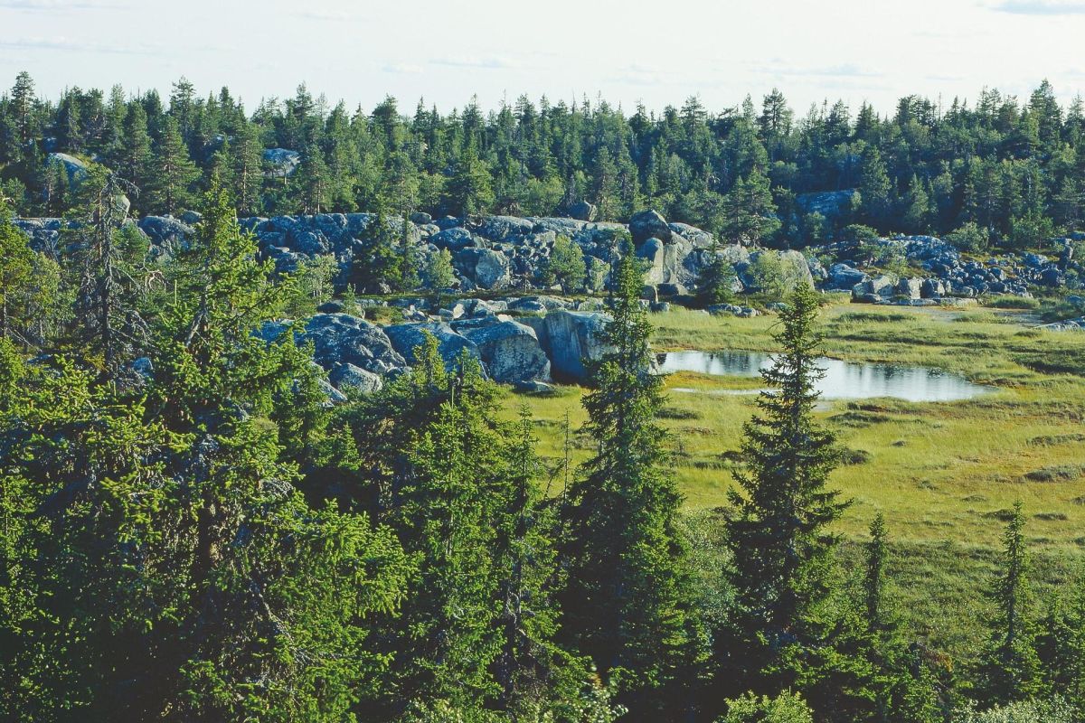 Джип-тур «Мистическая гора Воттоваара – озеро Пизанец»