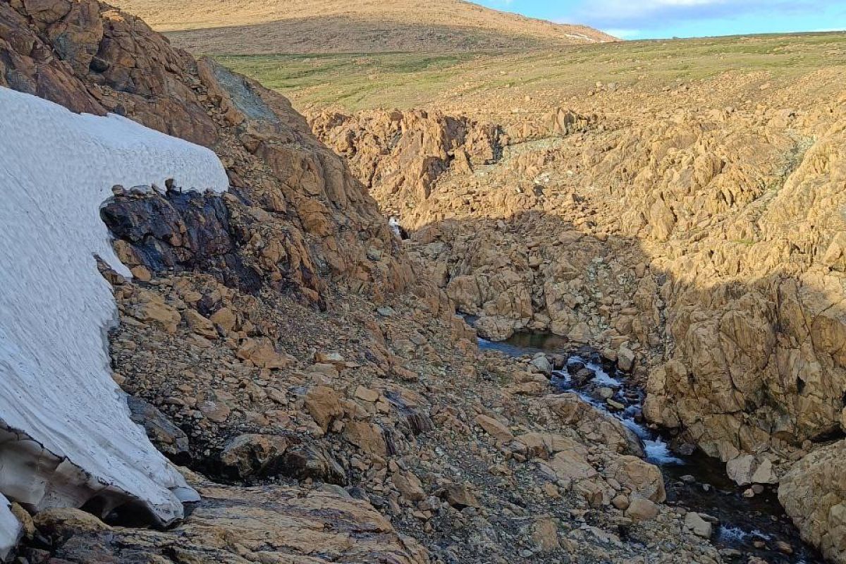 Романтический сёрфинг на леднике (всё включено)