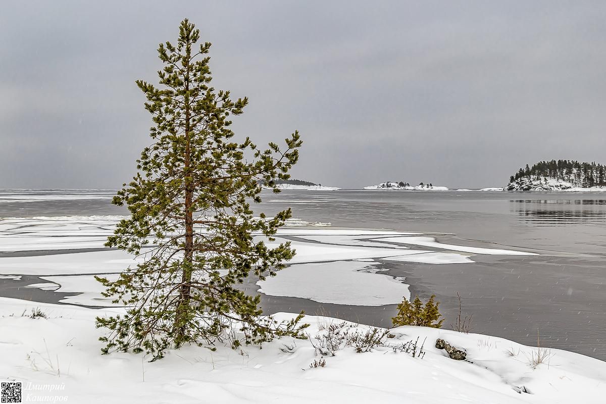Времена года. Зимняя Карелия с фотографом. Путешествие на другую планету