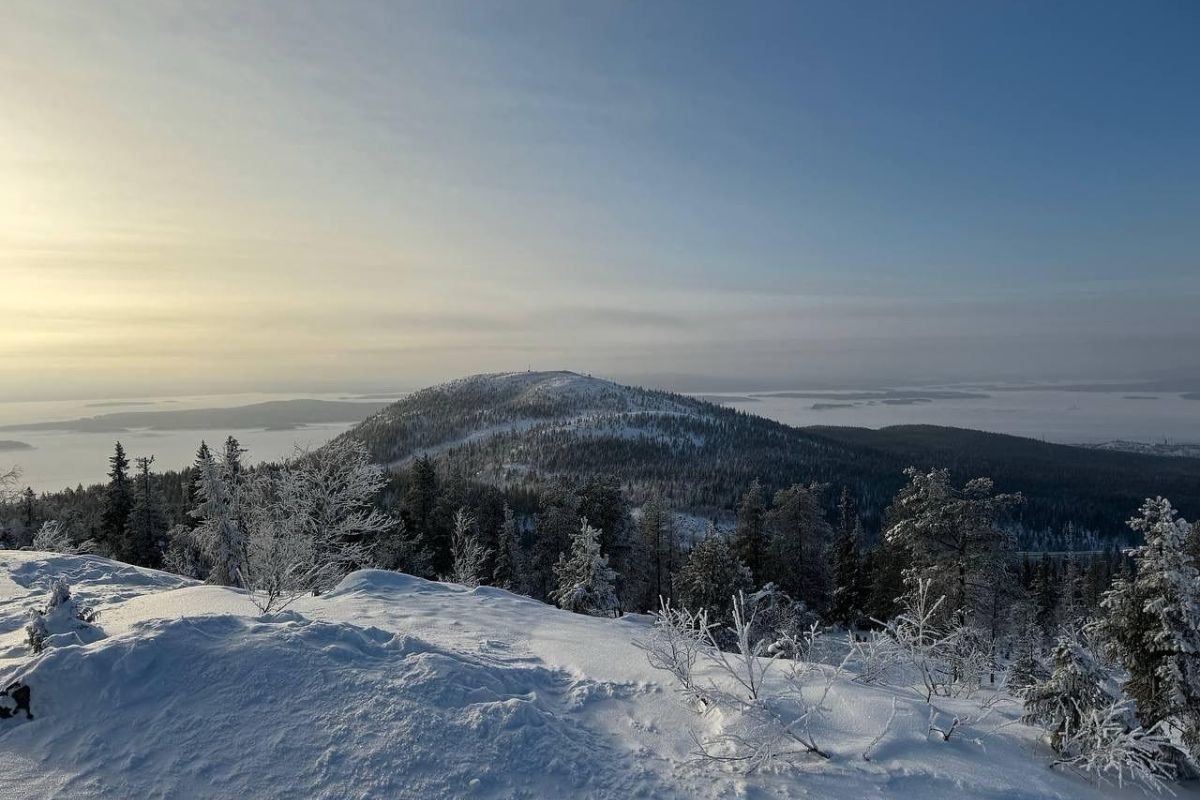 Снежный май