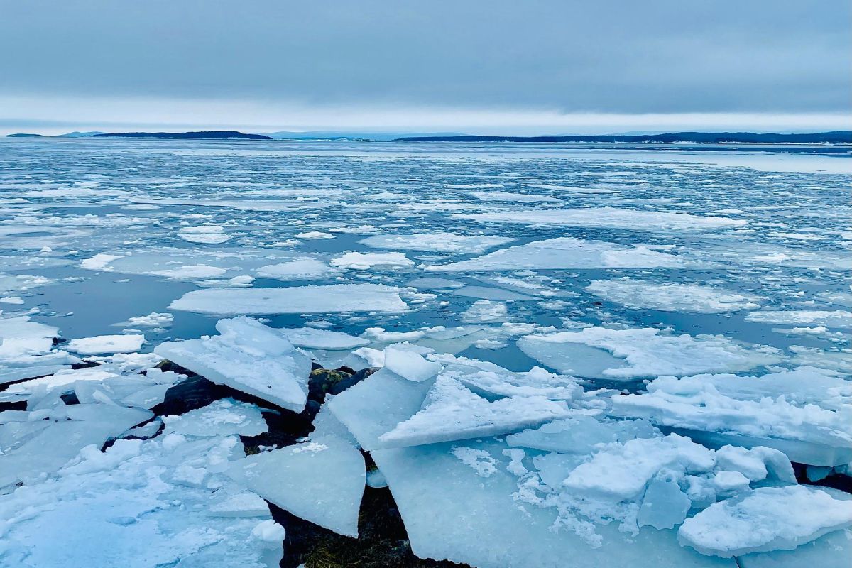 Снежный май