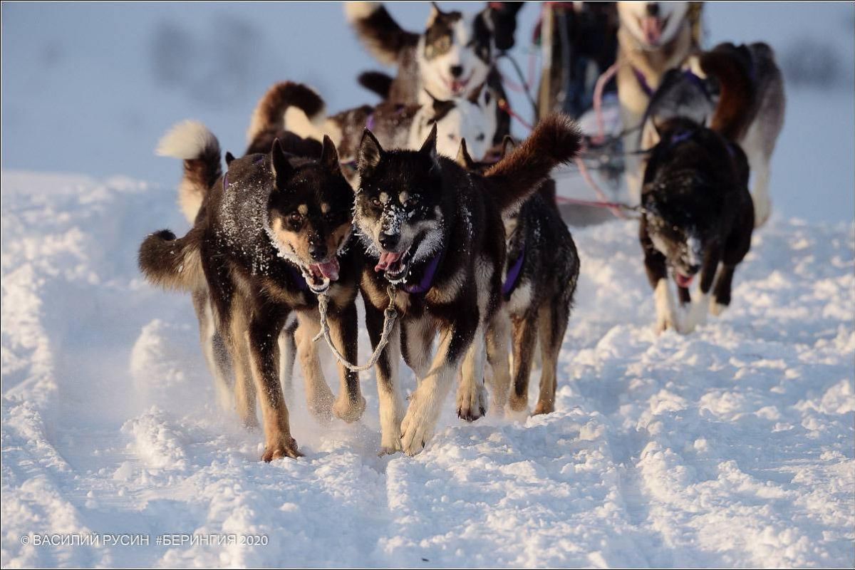 Весна на Камчатке