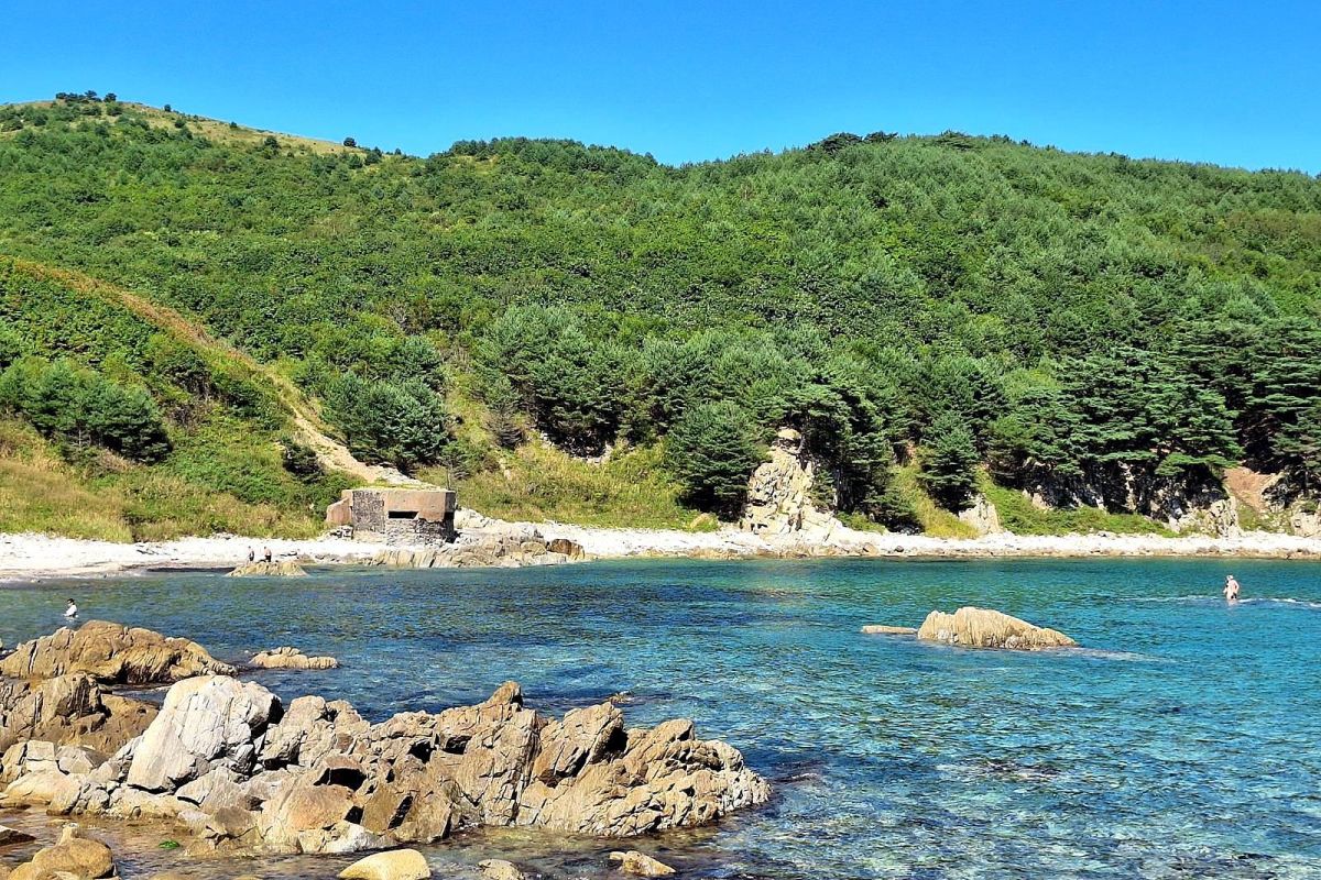 Тур "Владивосток + Японское море"