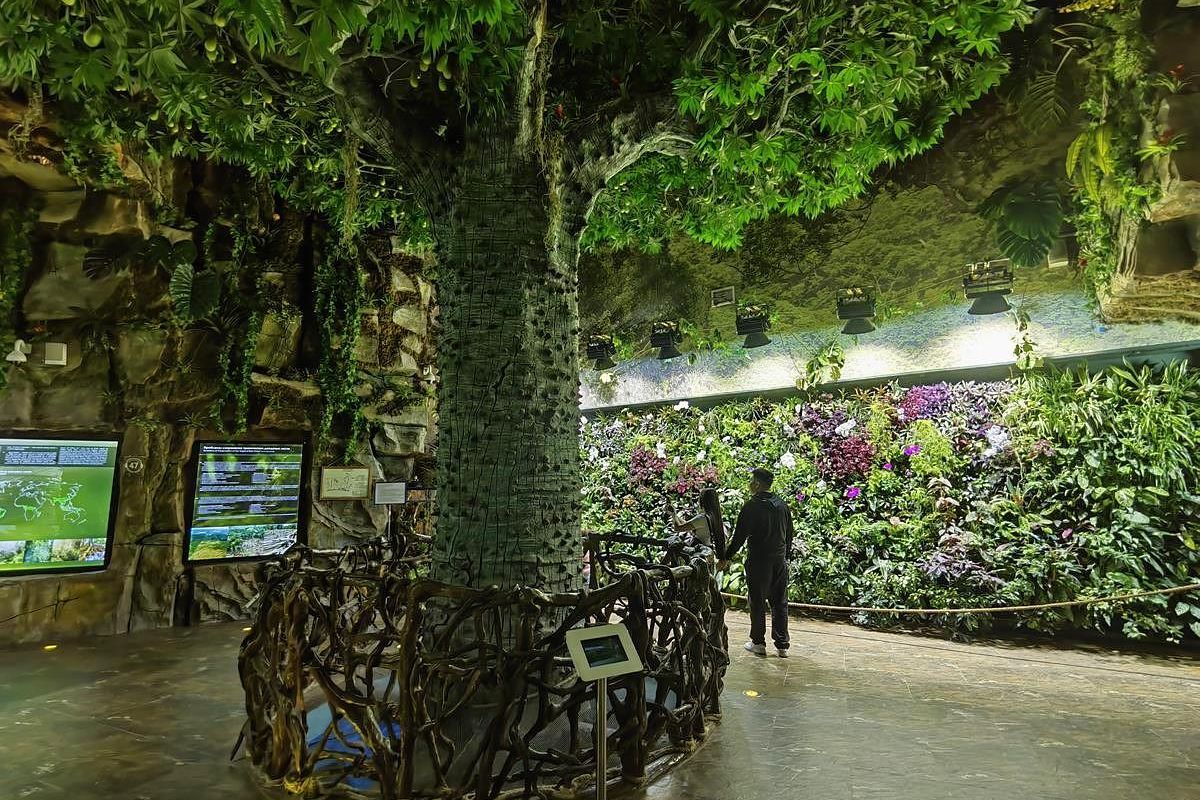 Тур "Тигры.Устрицы.Мосты"