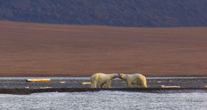 Чудеса Арктики: регион неизведанных тайн
