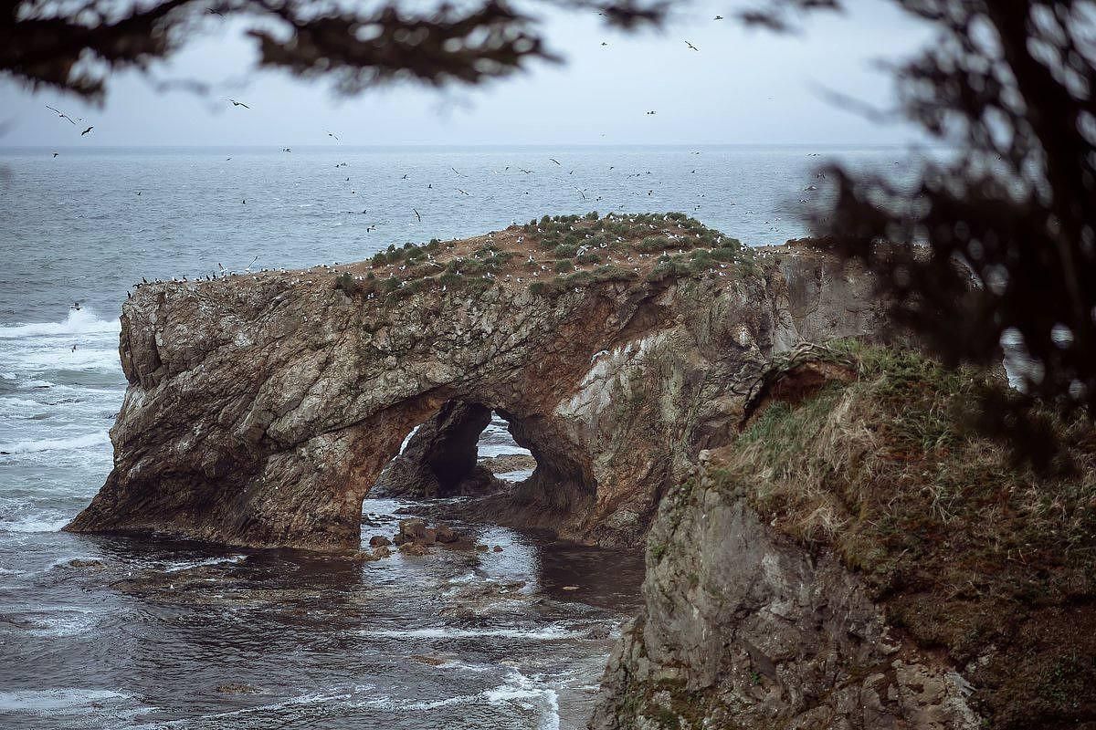 Мыс Великан. Мыс Птичий