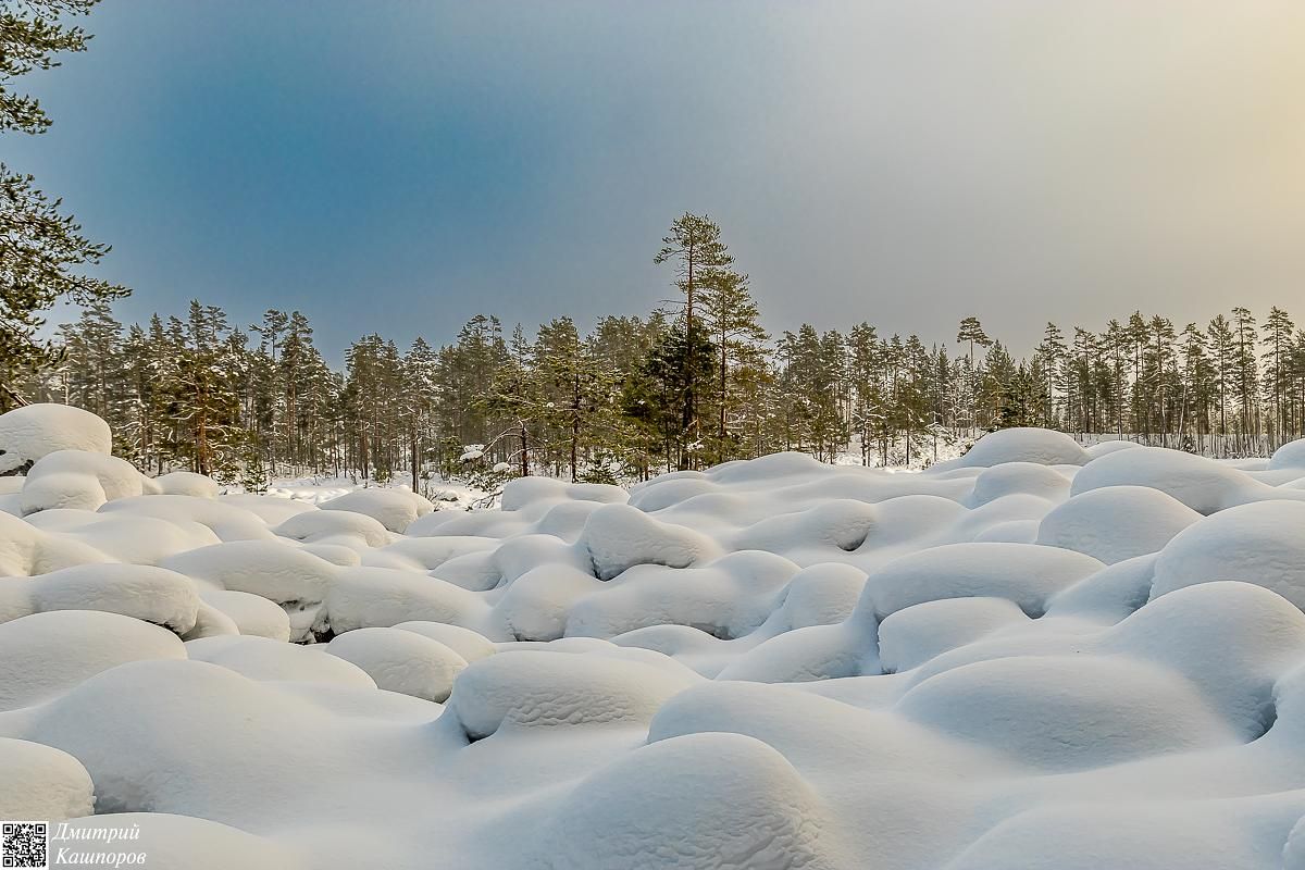 Времена года. Зимняя Карелия с фотографом. Путешествие на другую планету