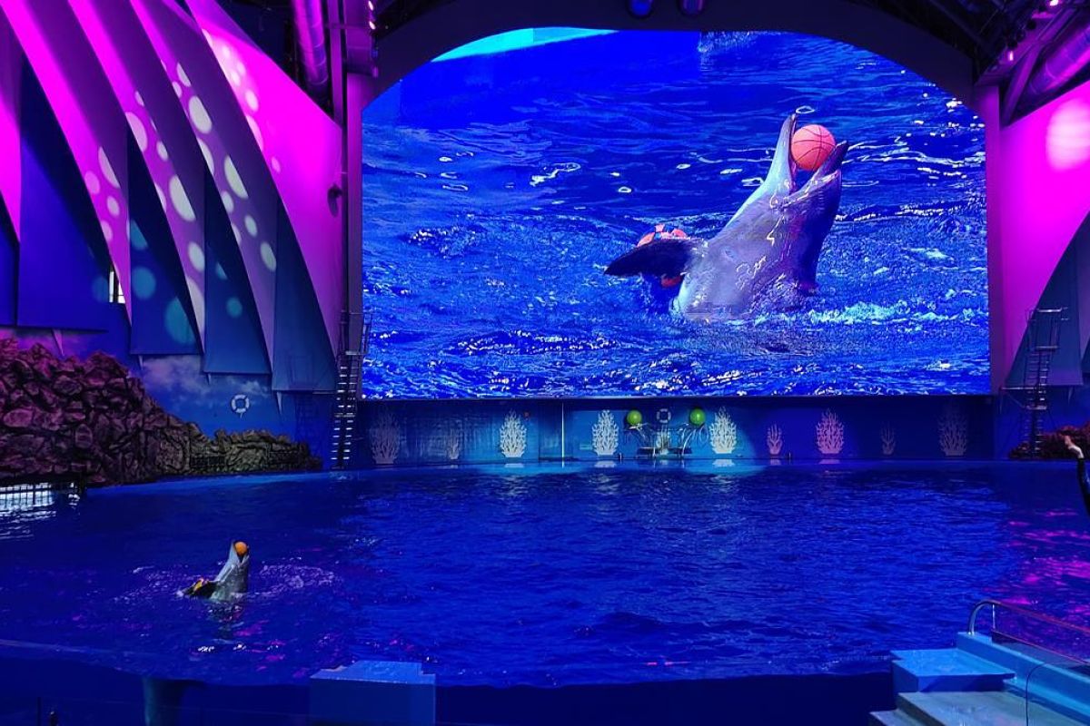 Тур "Лотосы и море"