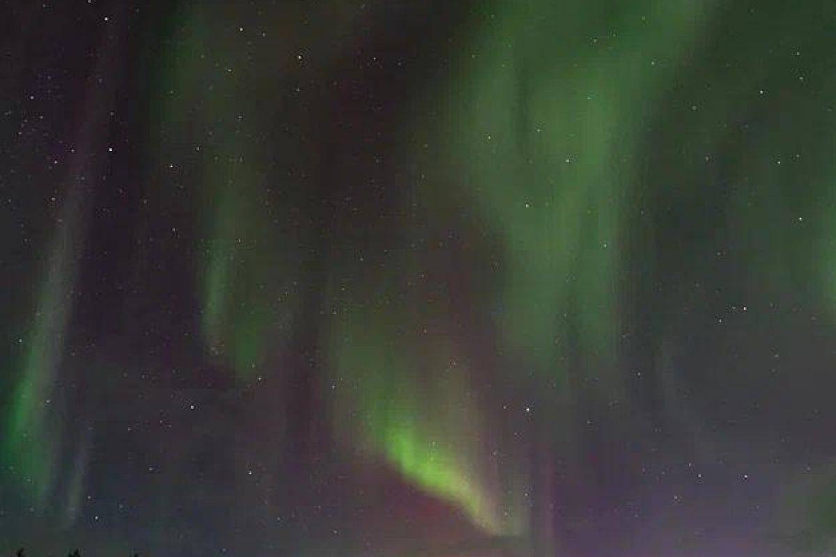 Ешь, лови, кайфуй (зима)