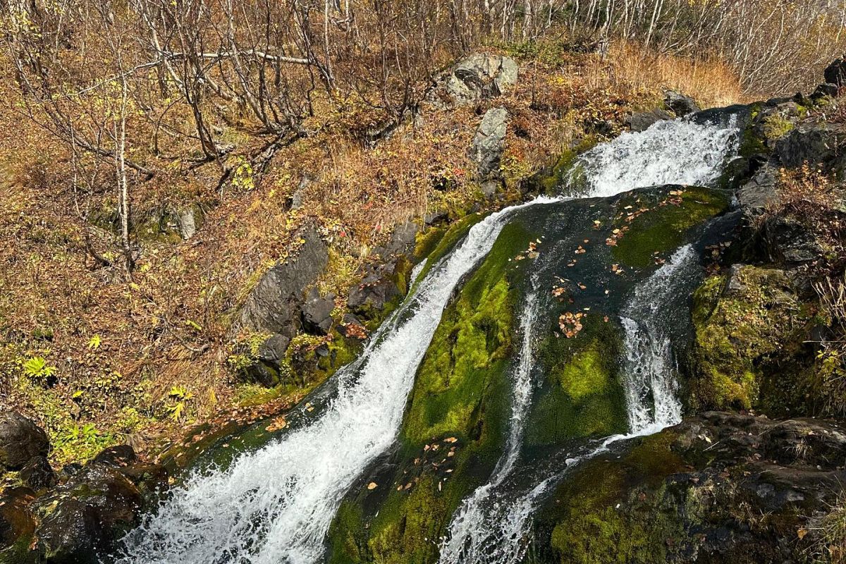 Джип-тур на Вачкажец + «Зеленовские озерки»