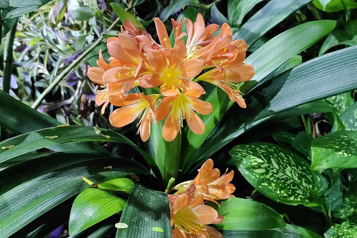 Тур "Дыхание весны у моря" (1 - 6 мая 2026)