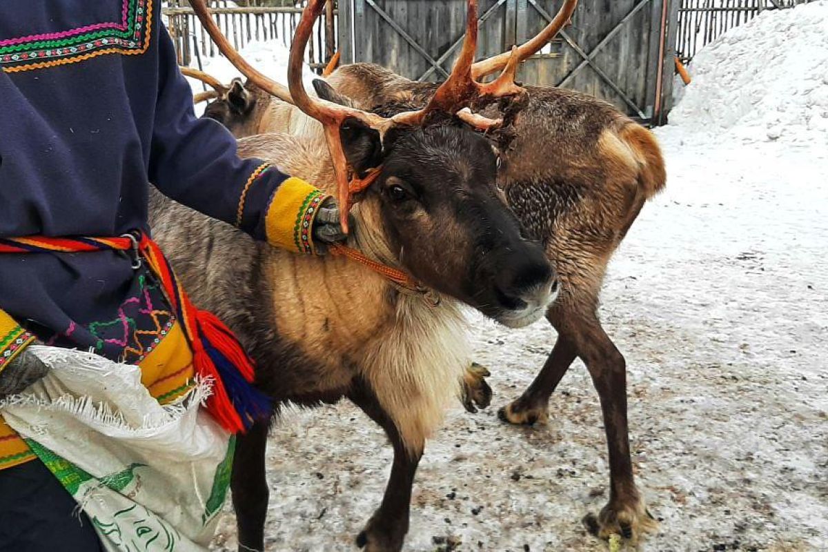 Ешь, лови, кайфуй (зима)