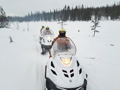 Сафари тур на снегоходах (1 час)