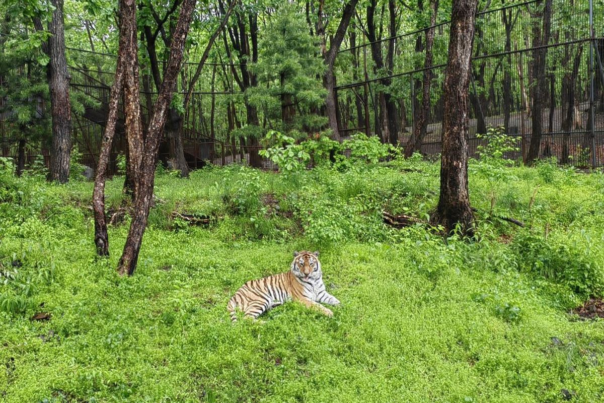 Тур "Приморье + Сахалин"