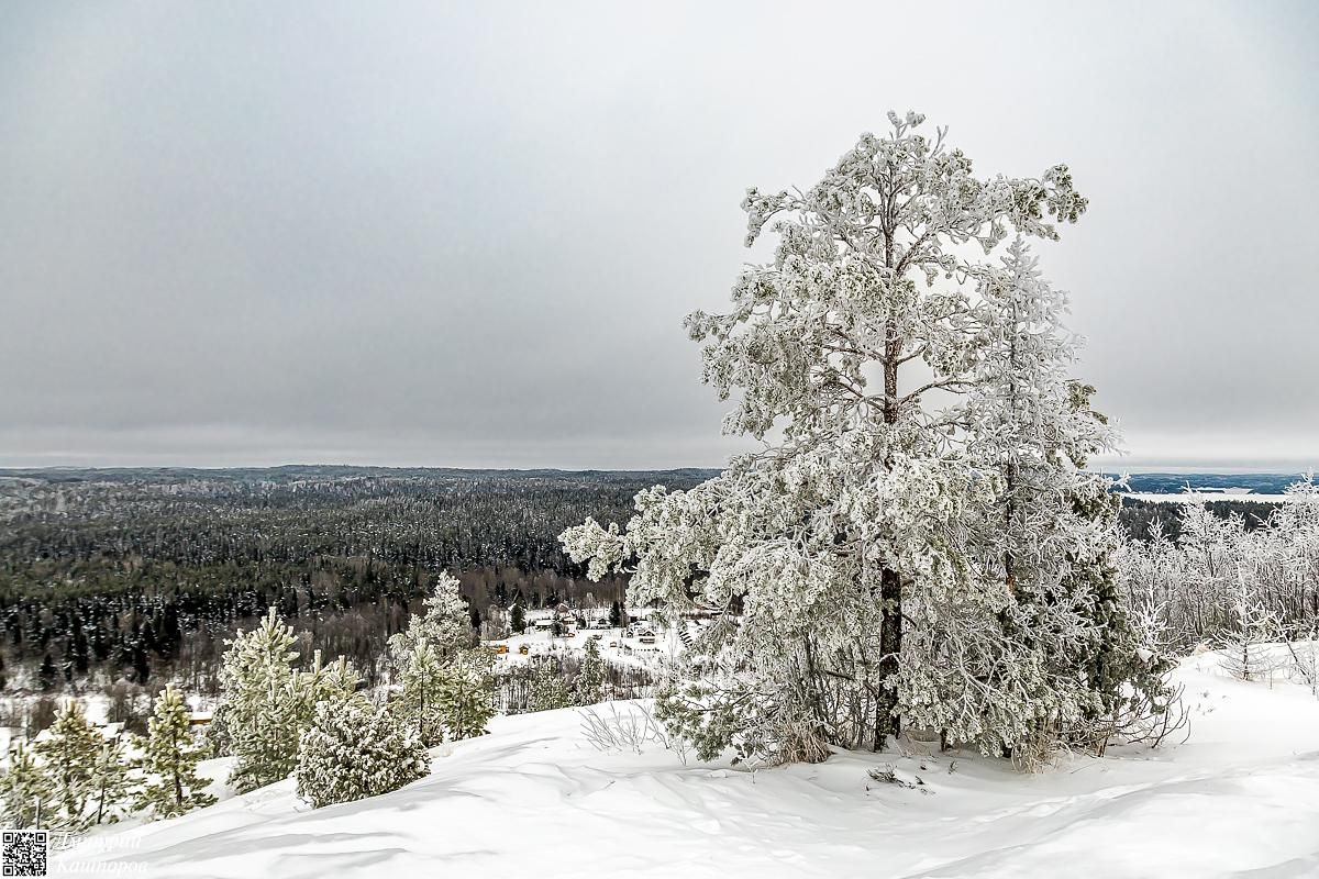 Времена года. Зимняя Карелия с фотографом. Путешествие на другую планету