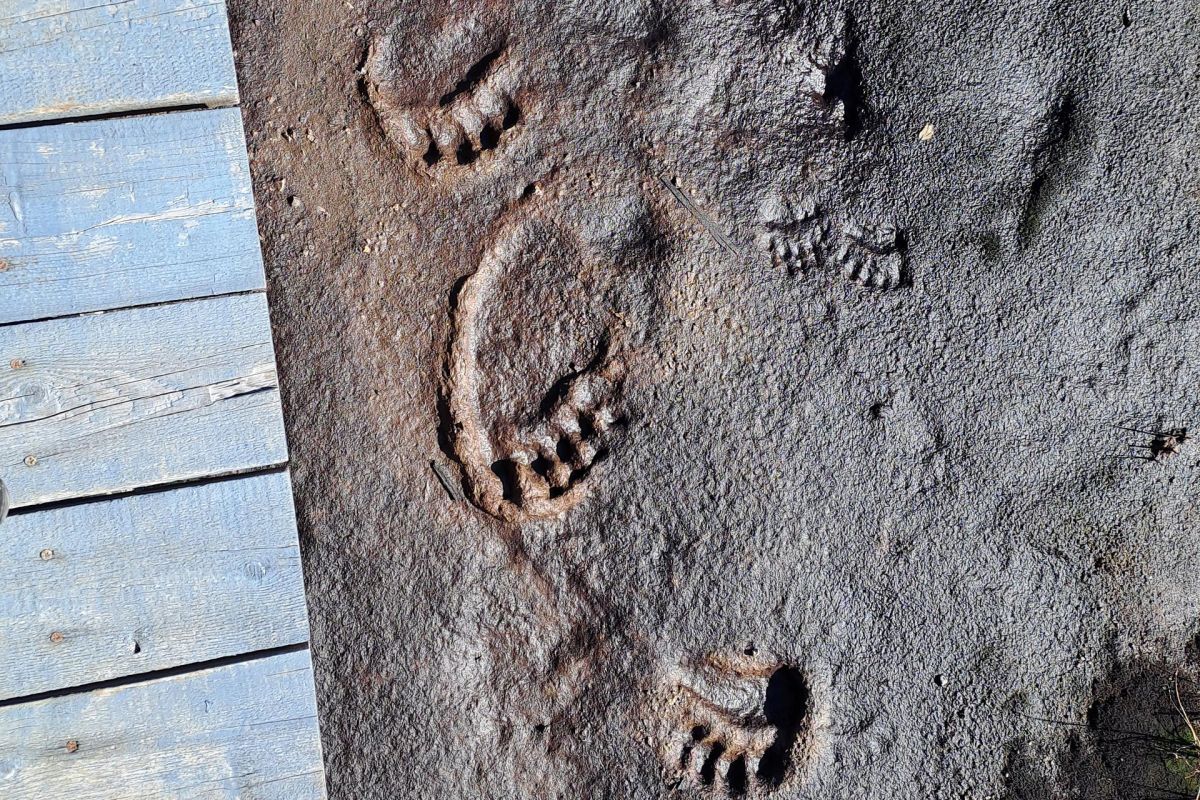 Вертолетная экскурсия в Долину Гейзеров, Узон и Налычевские источники