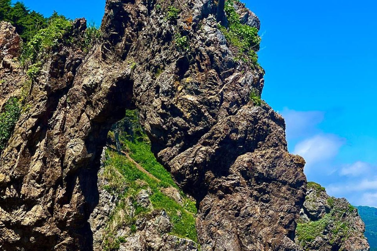 Мыс Великан. Мыс Птичий