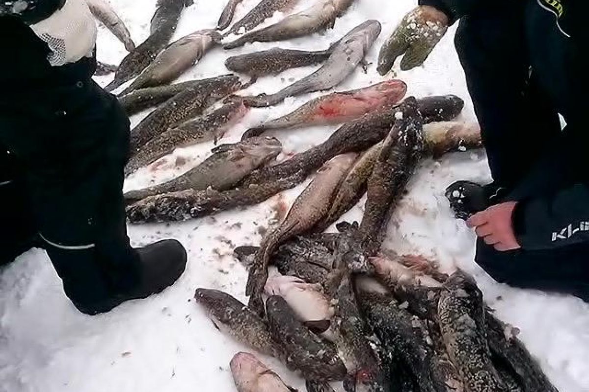 Озеро Майниц - жемчужина Чукотки (март-апрель, подлёдная рыбалка)