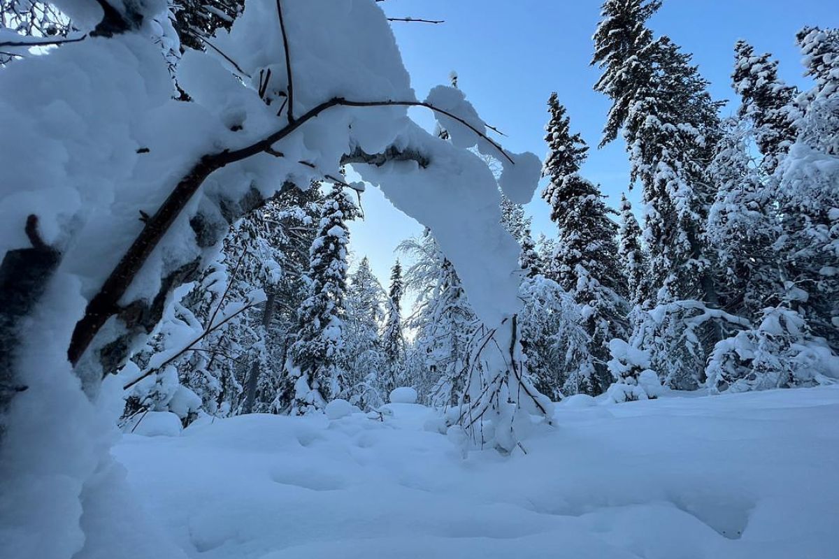 Кировск: горный курорт