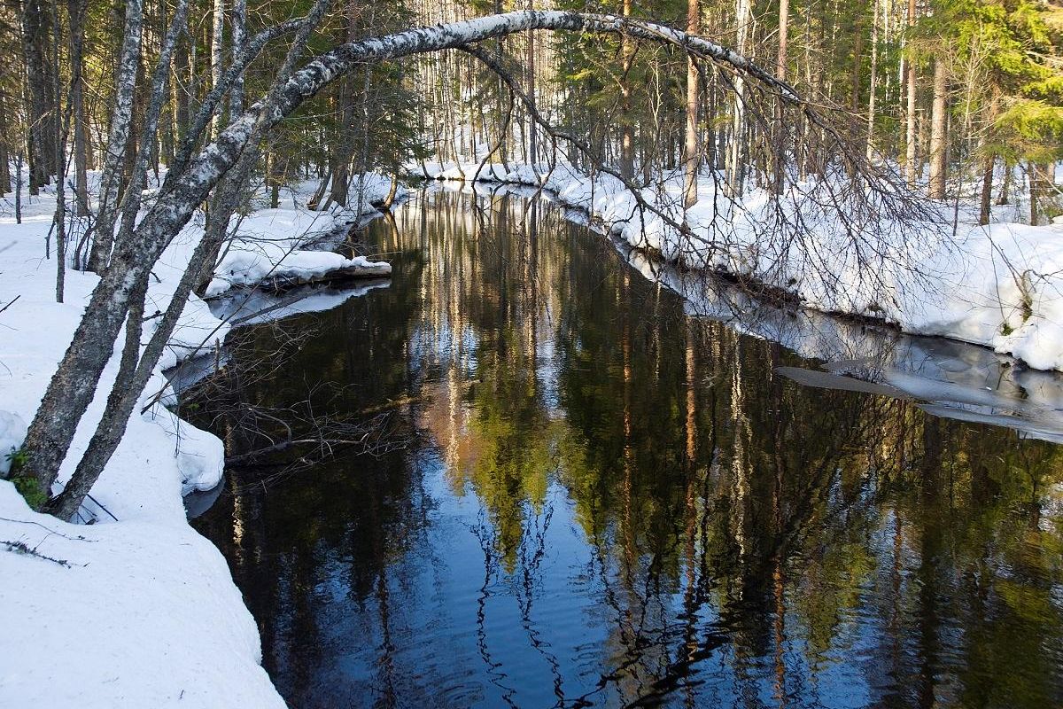 «МАРТОВСКОЕ НАСТРОЕНИЕ»: тур выходного дня в Каргопольском секторе