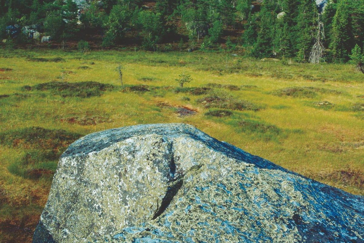 Вся Карелия на джипах