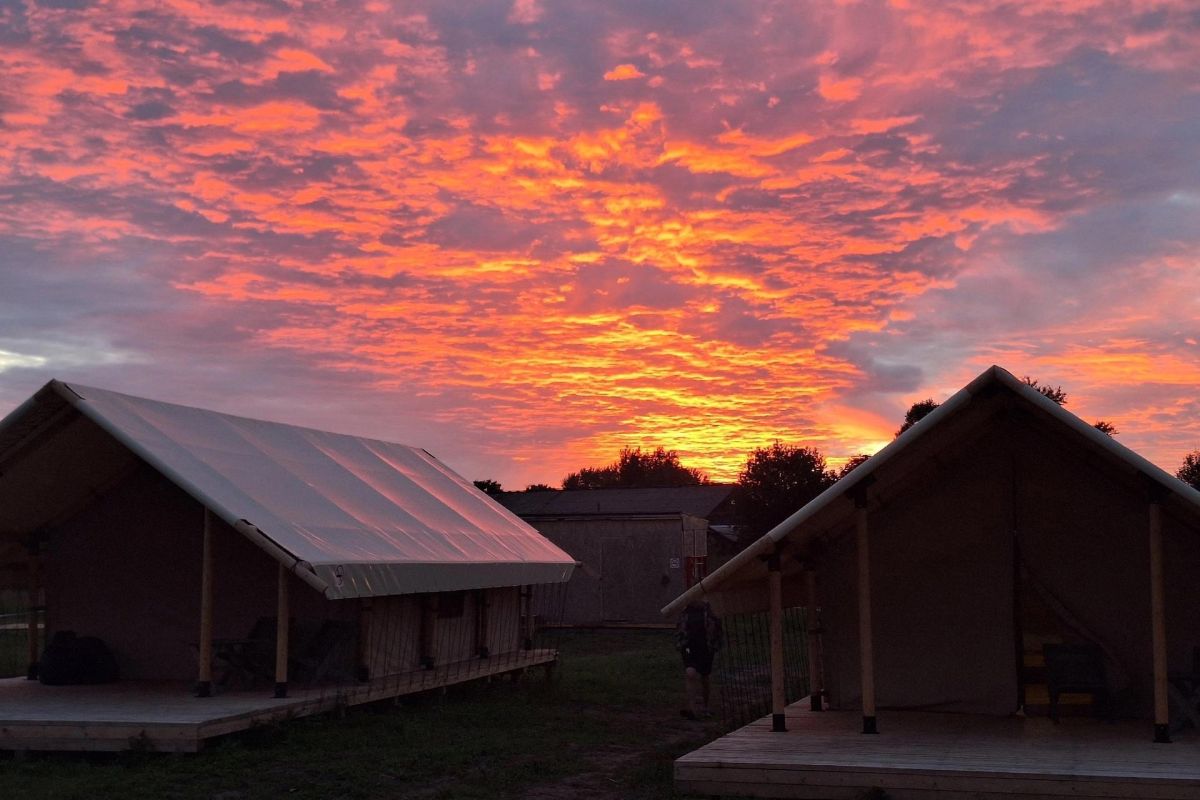 Недетишкина жизнь