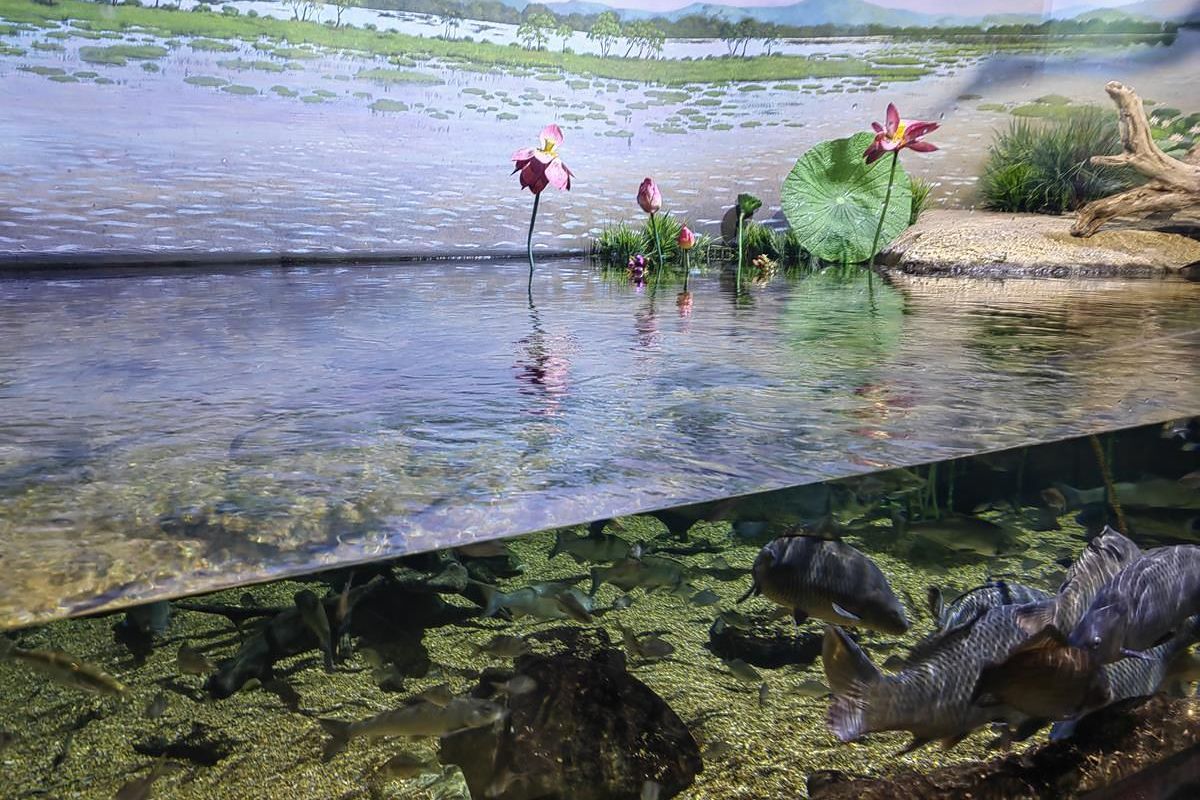 Тур "Дыхание весны у моря" (1 - 6 мая 2026)