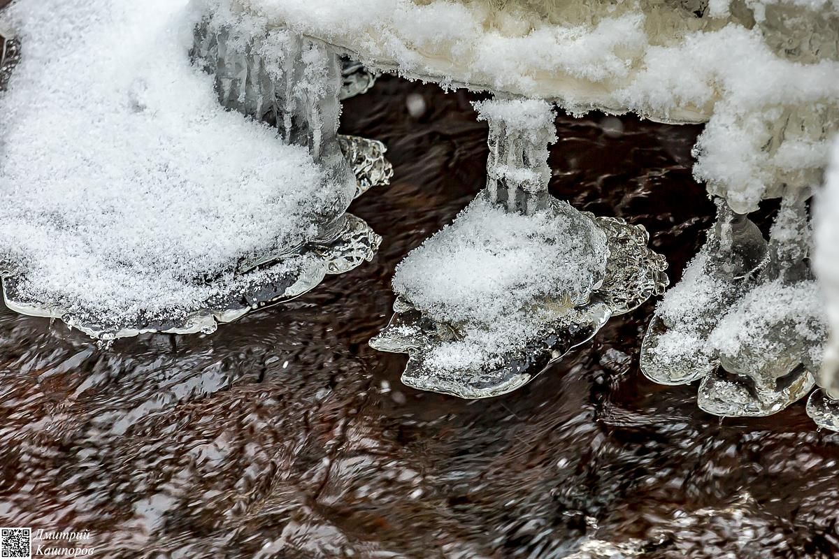 Времена года. Зимняя Карелия с фотографом. Путешествие на другую планету