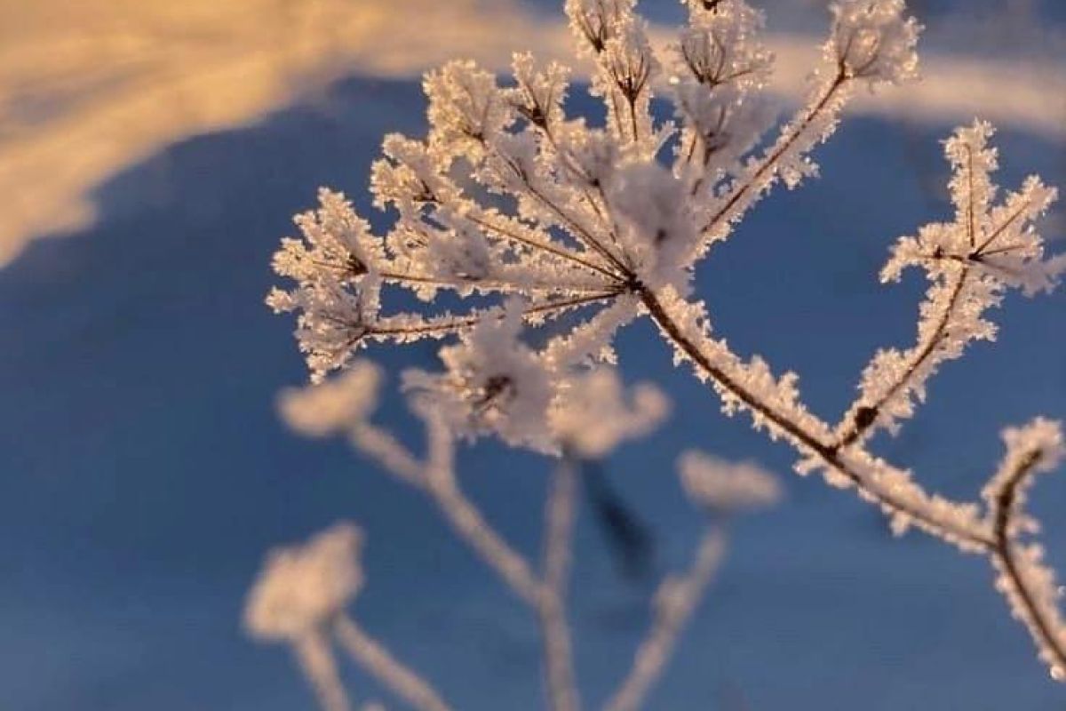 Кировск: горный курорт