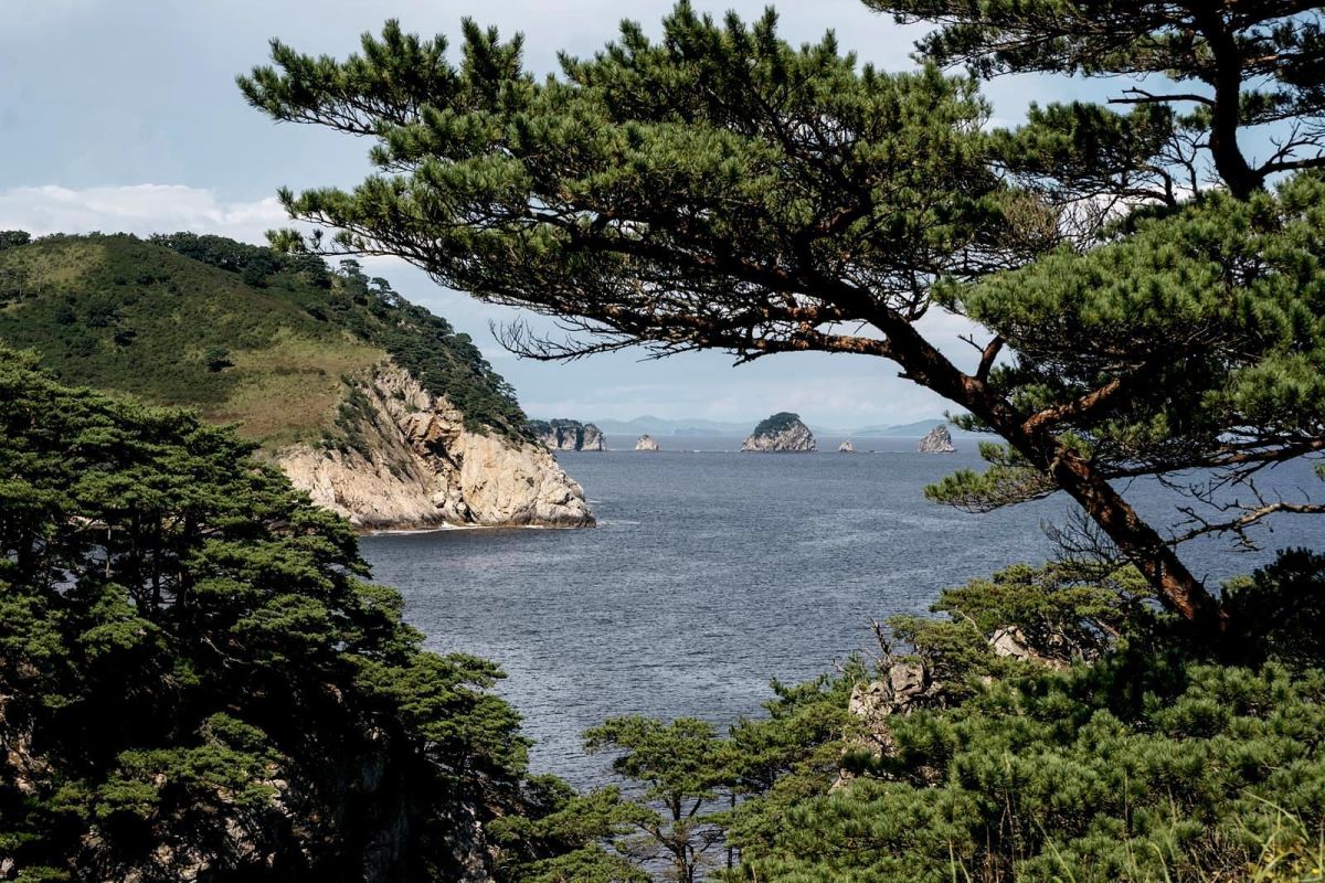 Тур "Заповедное Приморье: с юга на север"