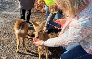 Тур "Семейное путешествие во Владивосток"