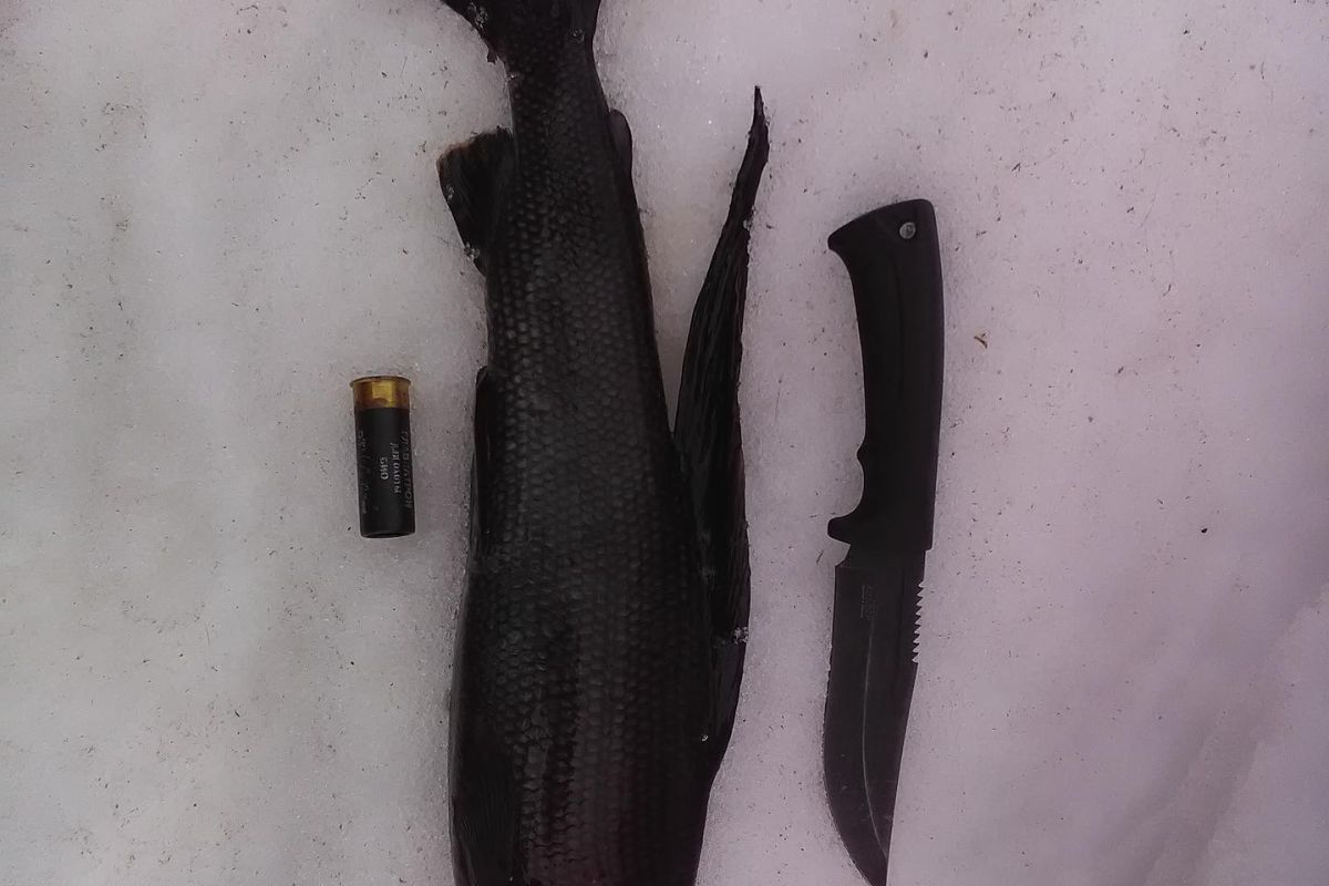 Озеро Майниц - жемчужина Чукотки (март-апрель, подлёдная рыбалка)